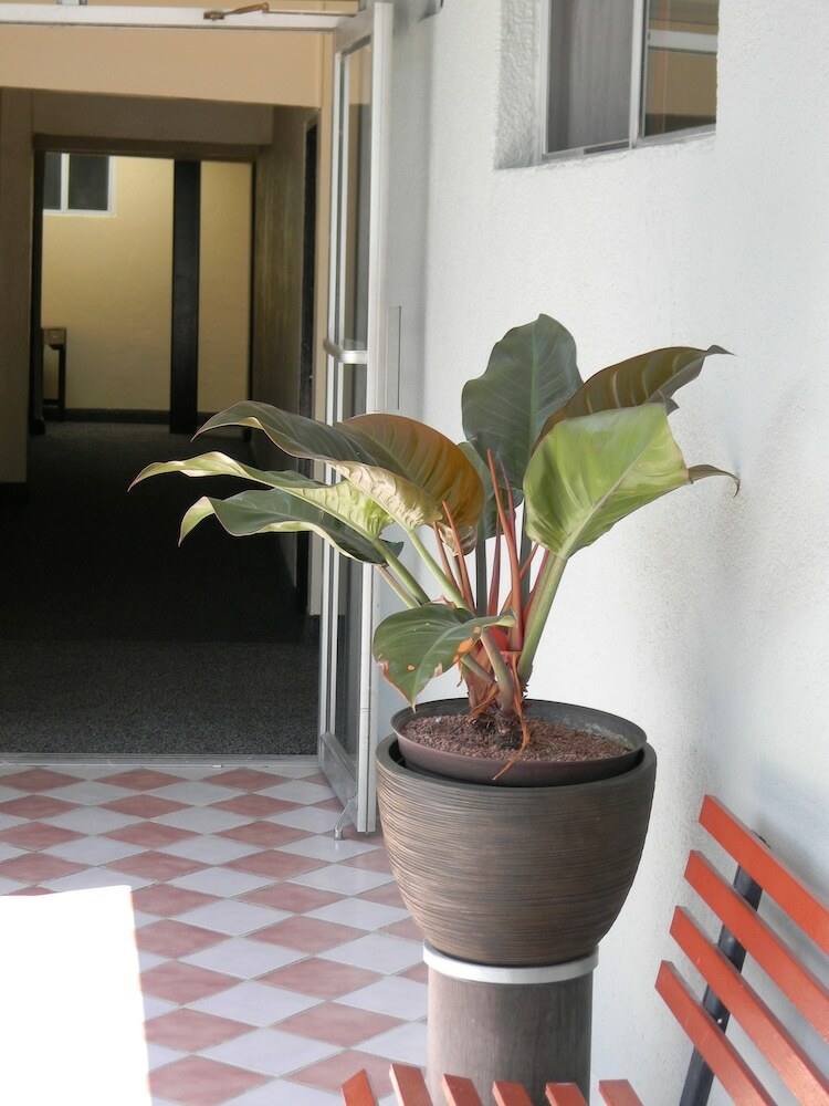Hotel Plaza Hermosa