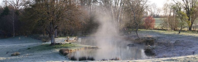 Domaine de La Roche Bellin