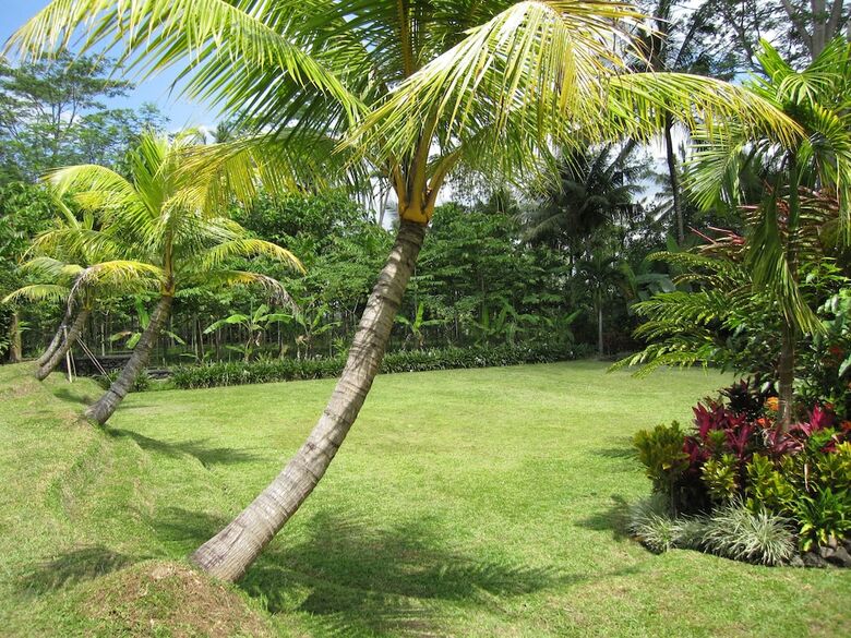 Jendela Di Bali Villa