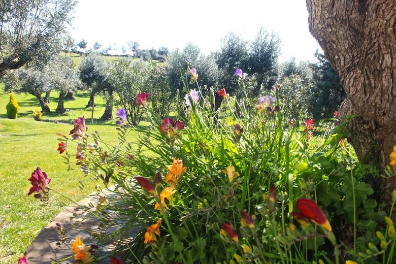 Agroturismo Herdade �gua D'alte