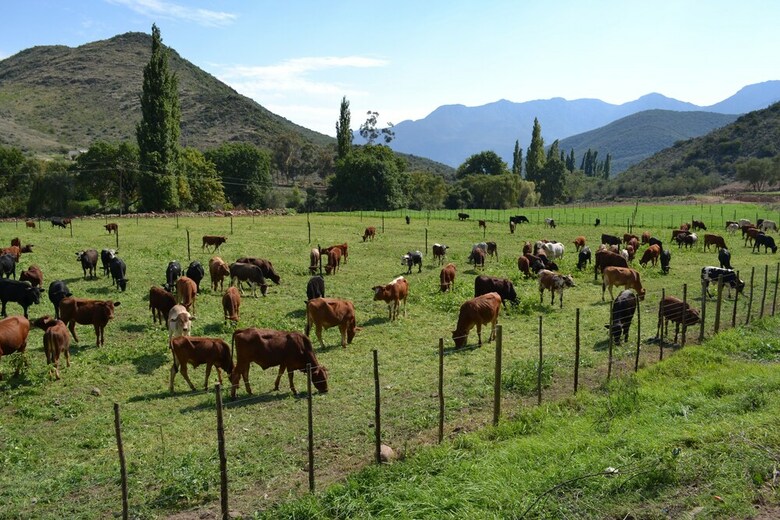 Posada de Kombuys Estate