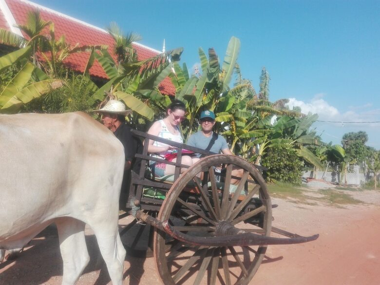 Hotel Angkor Countryside Boutique