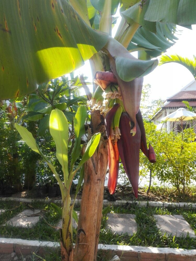 Hotel Angkor Countryside Boutique
