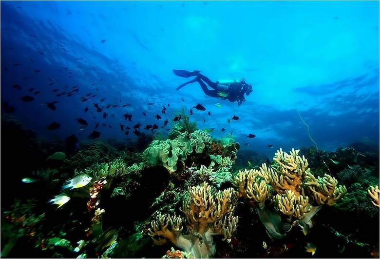 Patuno Hotel & Resort Wakatobi