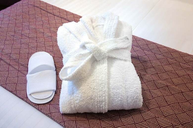 Hotel H�tel Alixia