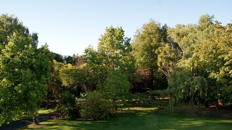 The Birches Bed & Breakfast