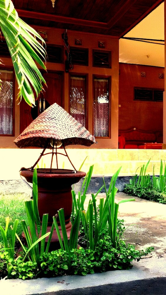 Hotel Mami In Homestay