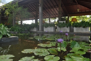 Apartamento Amaara Forest Hotel Sigiriya