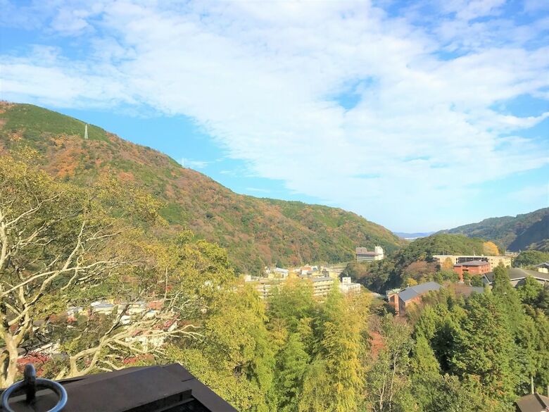 Hostal Onsen Hostel K's House Hakone