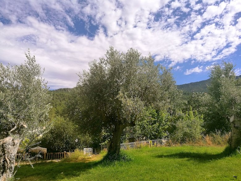 Agroturismo Finca La Celada