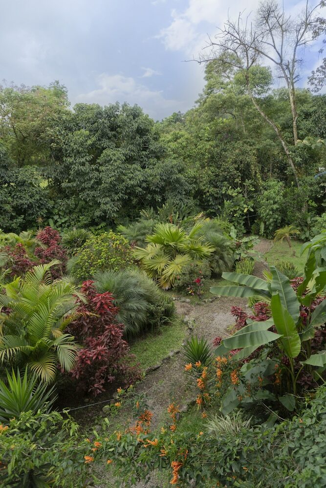 Posada Mindo Green House