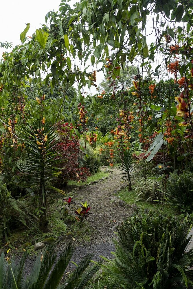 Posada Mindo Green House