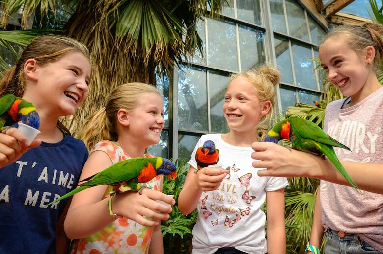 Hotel Van Der Valk Avifauna