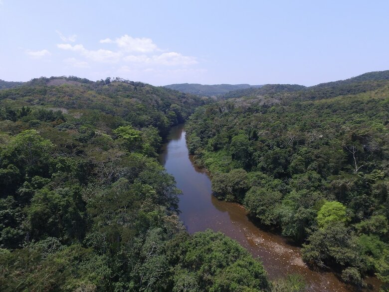 Posada Table Rock Jungle Lodge