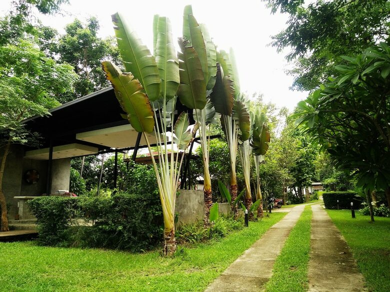 Hotel Huen Muang Pai Resort