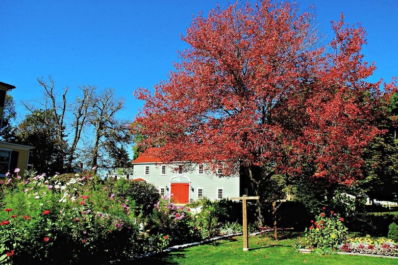 Bed & Breakfast Captain Lord Mansion