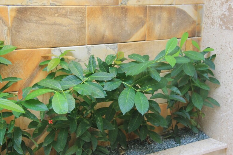 Hotel Balisanti Bungalows