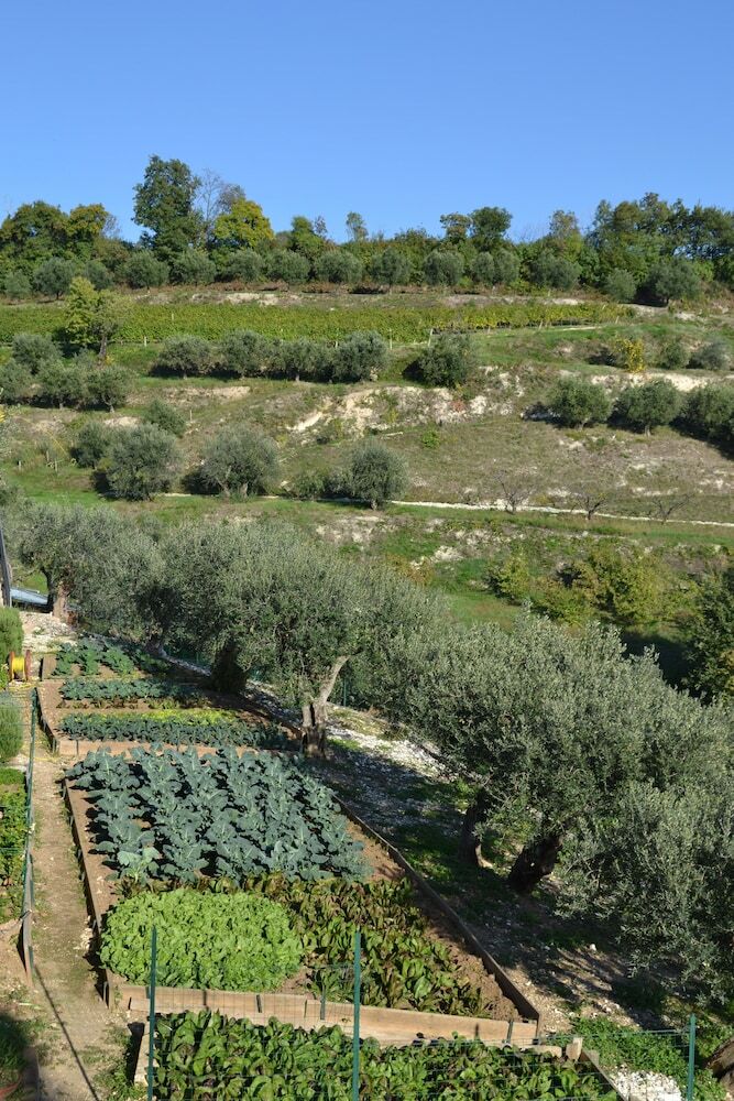 Agroturismo I Tamasotti