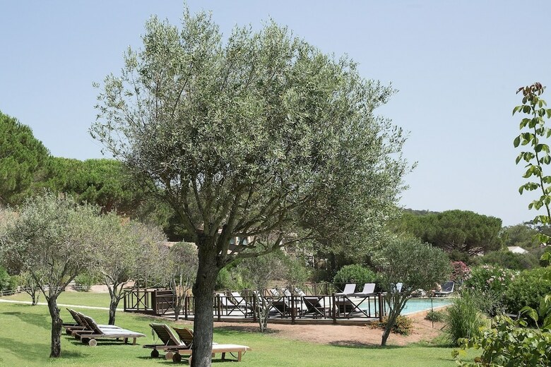 Hotel Les Chambres de Casarina