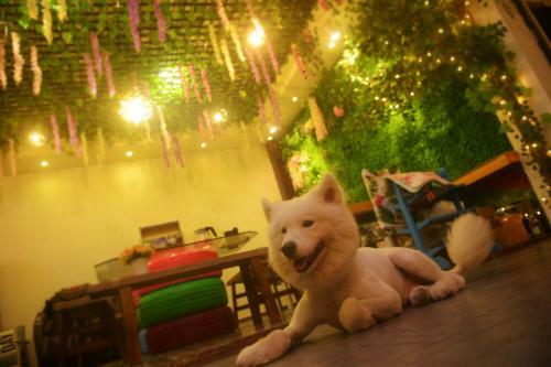 Emeishan Hostel C