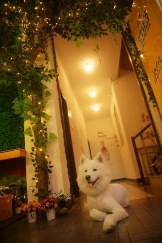 Emeishan Hostel C