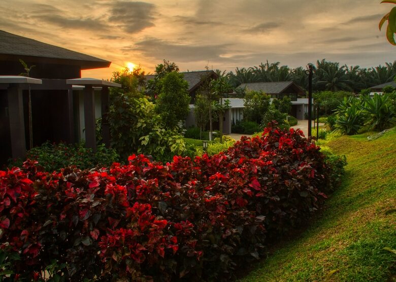 Hotel Mangala Resort & Spa