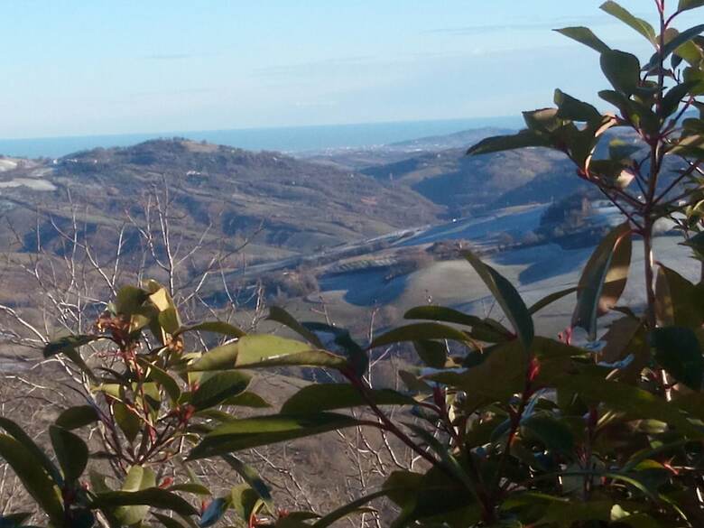 Bed & Breakfast Il Poggetto Piccolo Hotel