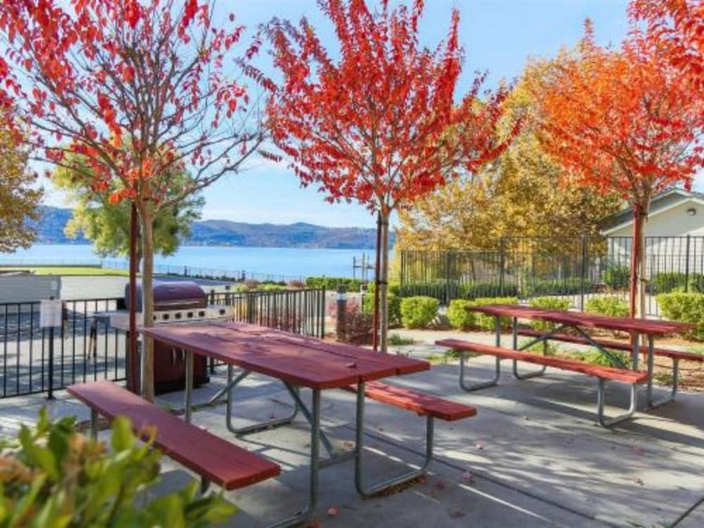 Clear Lake Cottages & Marina
