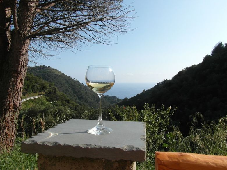 Agroturismo Agriturismo Costa Di Campo