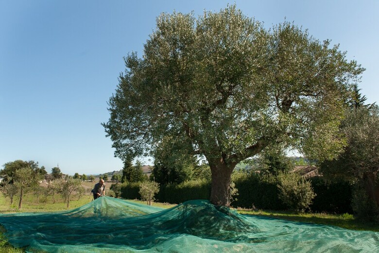 Agroturismo Villa Coralia