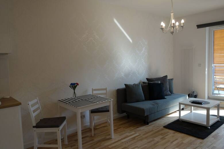 1 Bedroom Francuska Park Apartment