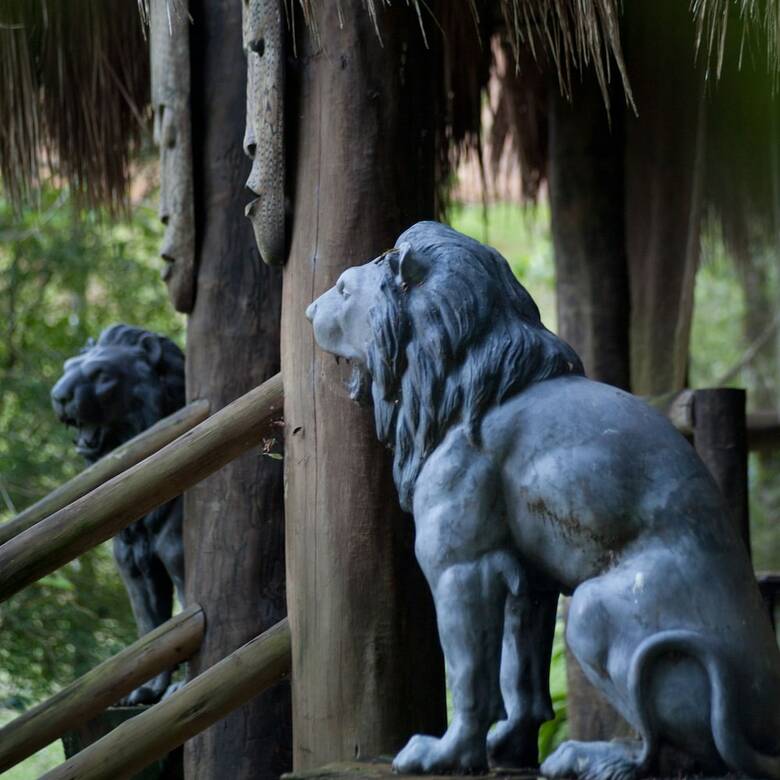 Hotel Paraiso Eco Lodge