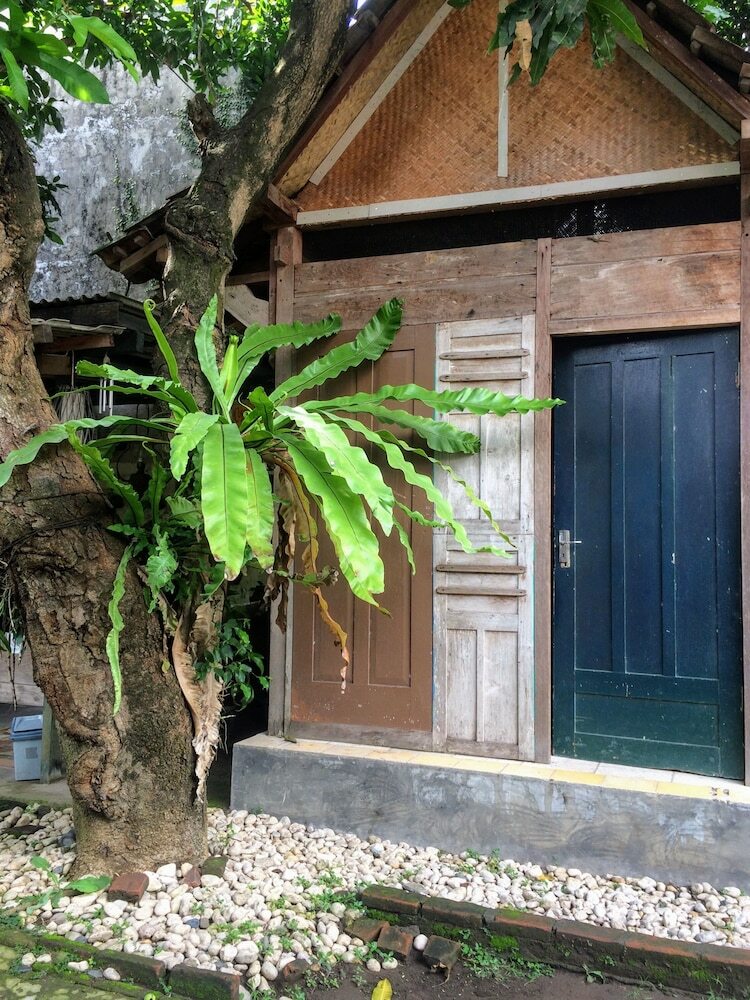 Hotel Mango Tree Dipudjo Homestay