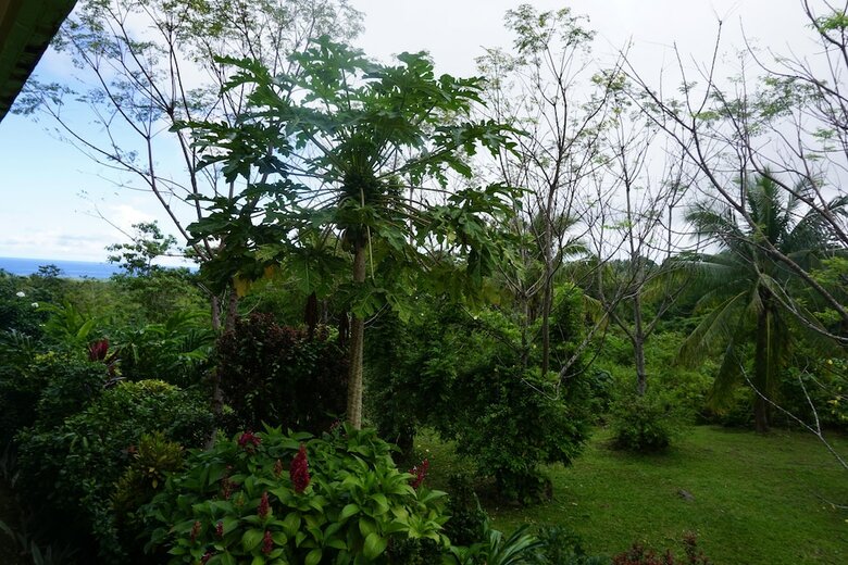 Hotel Theview Camiguin