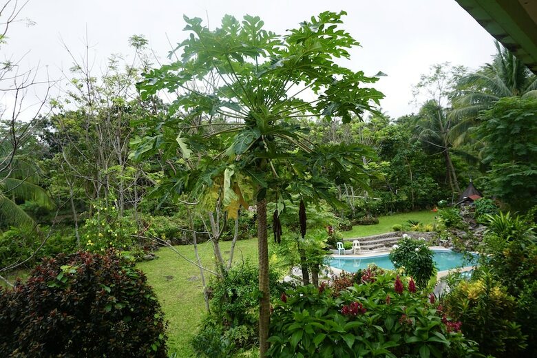 Hotel Theview Camiguin