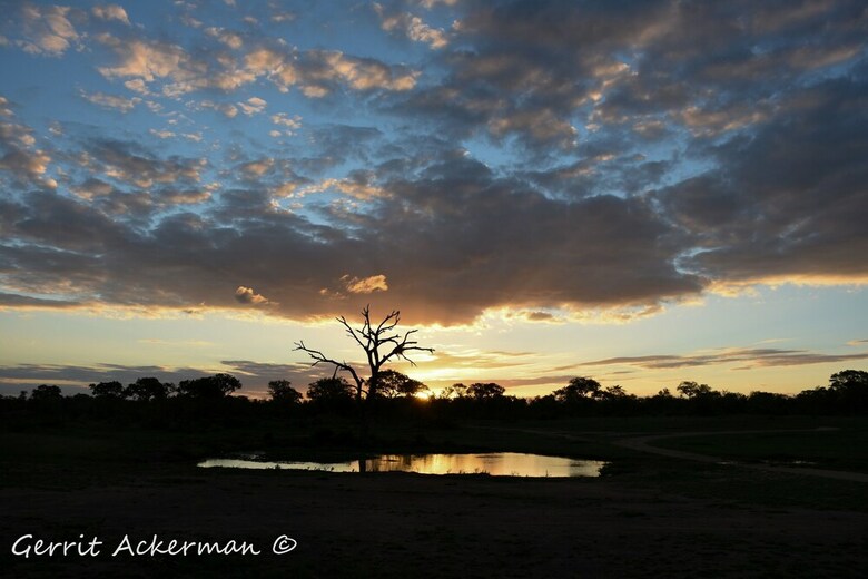 Posada Elephant Plains Game Lodge