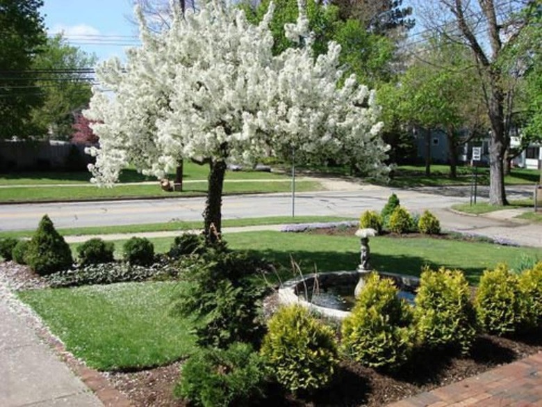 Bed & Breakfast Rocking Horse Inn