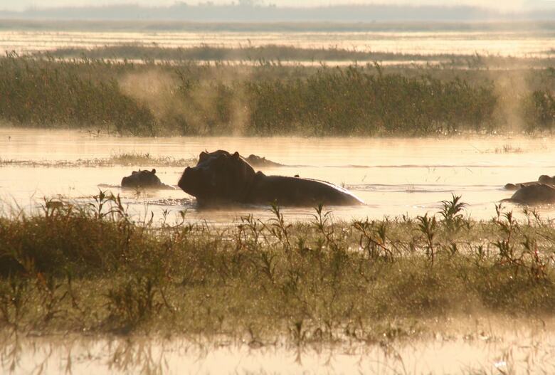 Posada Mukambi Safari Lodge - All Inclusive