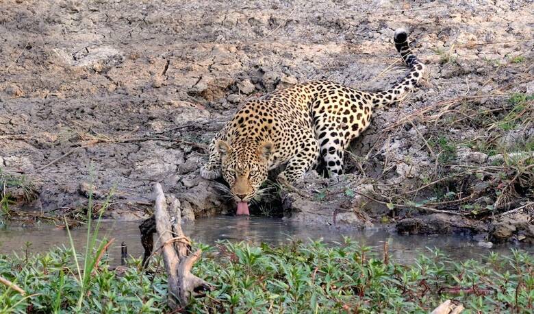 Posada Mukambi Safari Lodge - All Inclusive