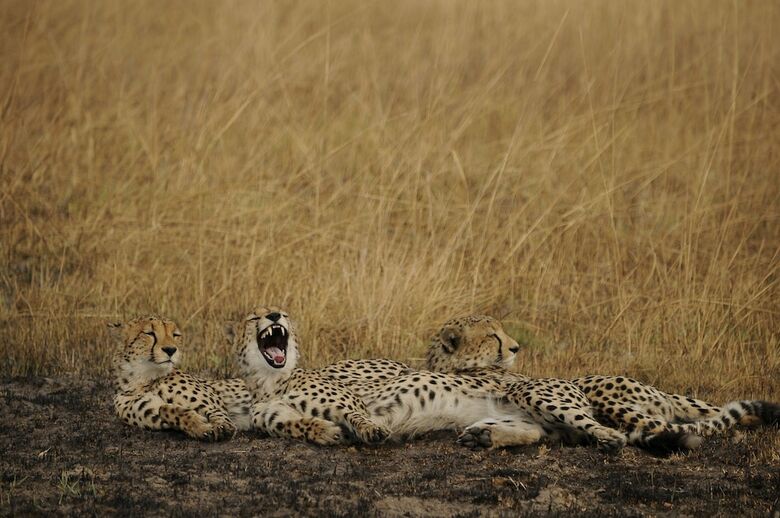 Posada Mukambi Safari Lodge - All Inclusive