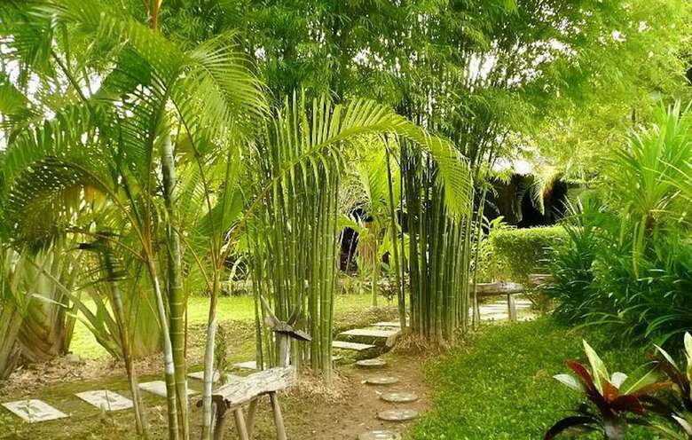 Hotel Gims Resort