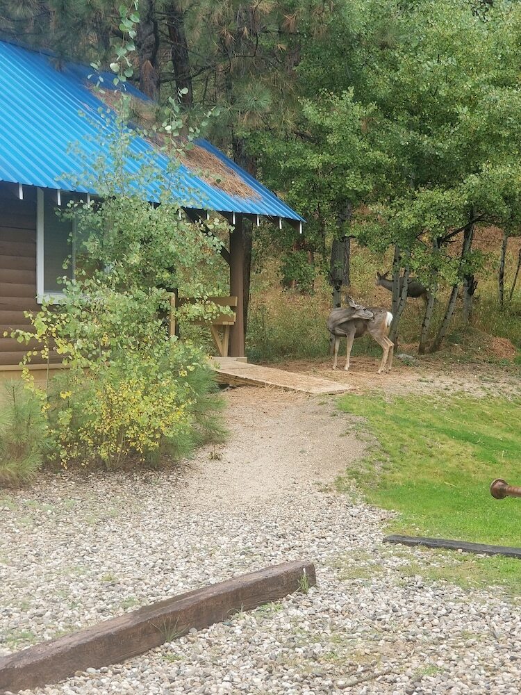 Motel Sourdough Lodge