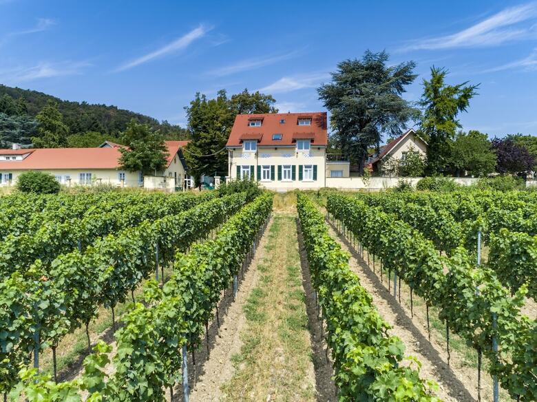 Halbersbacher. Hotel Annaberg