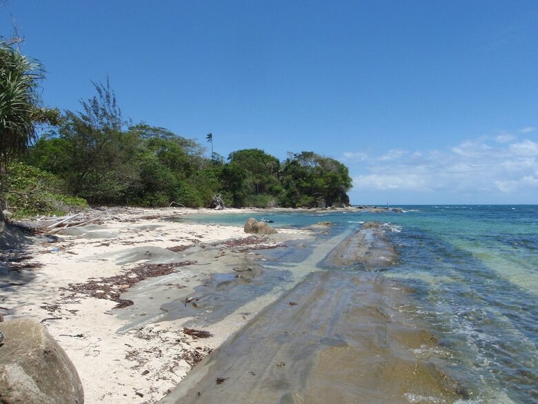 Hotel North Borneo Biostation Resort