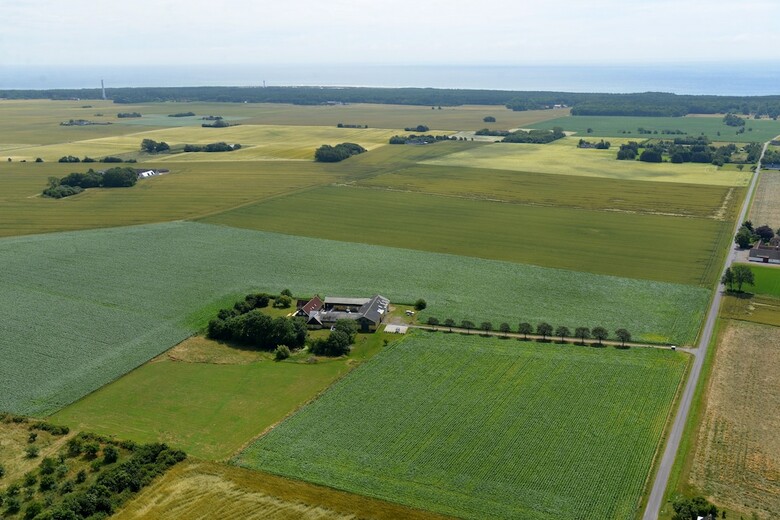 Myregaard B&B & Apartments