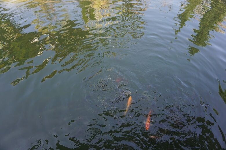 Hotel Blue Sky Pai Resort