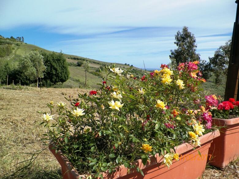 Agroturismo Agriturismo Colle Del Sindaco