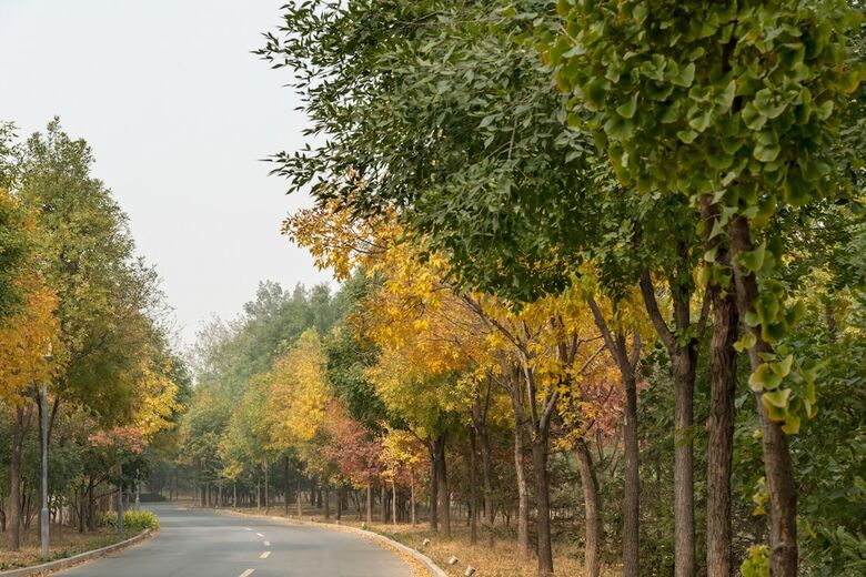 Hotel Holiday Inn Beijing Shijingshan Parkview