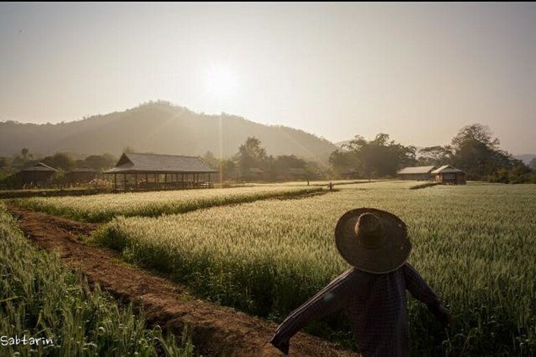 Hotel Lhongkhao Samoeng