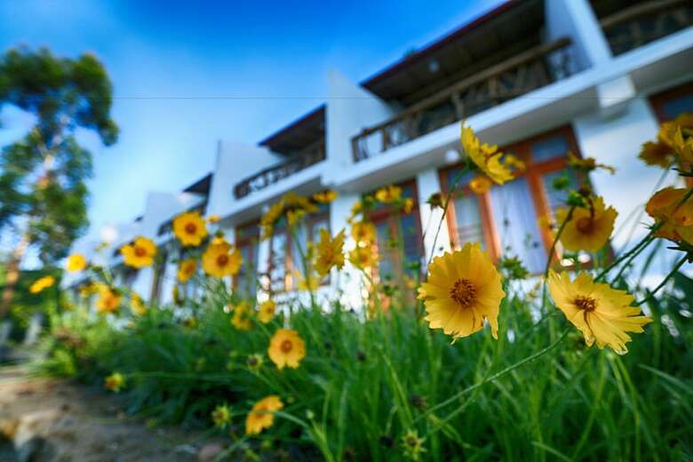 Hotel The Tea Tree Resort
